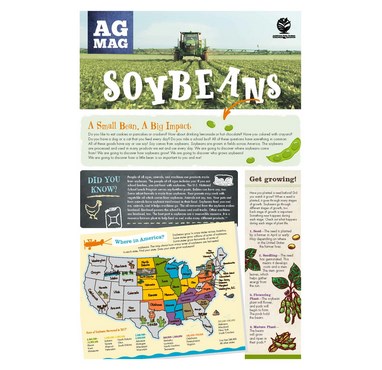 SOYBEAN AG MAG